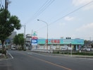 ドラッグスギヤマ西山台店(ドラッグストア)まで280m メゾン五反田