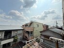 室内からの展望 Jack osugiⅠ