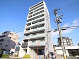 プライムローズ