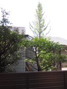 室内からの展望 Ｖｉｌｌａ志賀本通