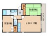 テラス高野Ⅱ 2LDKの間取り