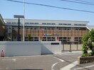 花水木保育園(幼稚園/保育園)まで400m ドエル・プレイス