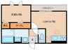 セレスティア長良　イースト 1LDKの間取り
