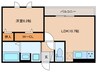 セレスティア長良　イースト 1LDKの間取り
