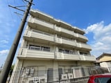アドニス９