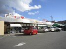 ナフコ(スーパー)まで450m クレシア
