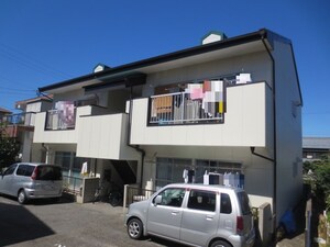 ハイツコガネ
