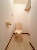 トイレ アンプル－ルリ－ブルglandB