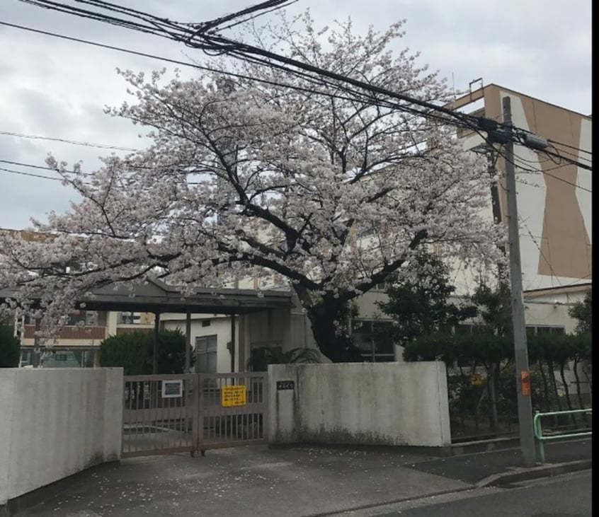 老松小学校(小学校)まで893m ジョイフル鶴舞