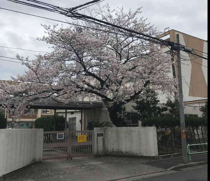 老松小学校(小学校)まで893m ジョイフル鶴舞