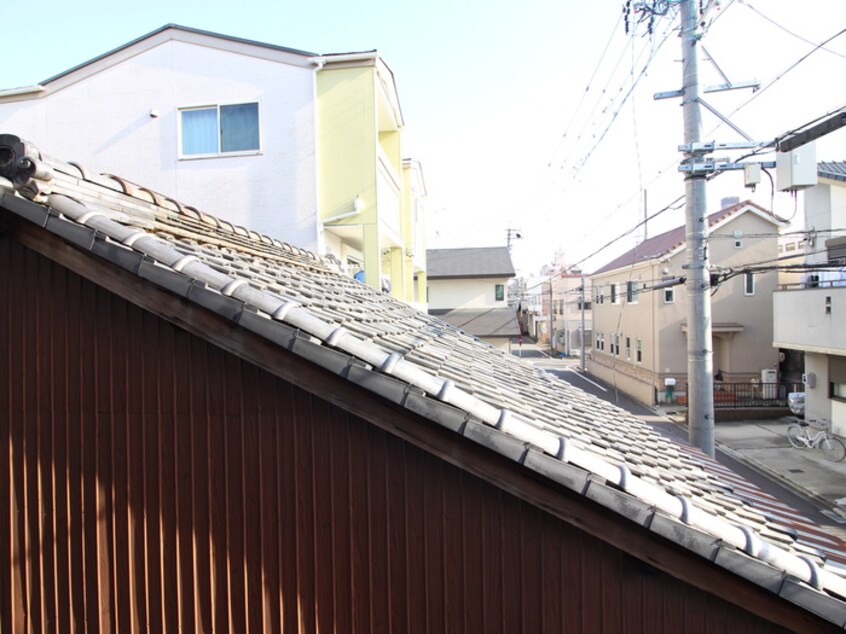 室内からの展望 CRETACEOUS PARKⅡ