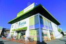 Ｓｅｒｉａ(100均)まで180m クイ－ンズタウン愛豊