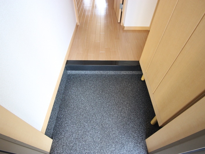 玄関 ルミナスハイム