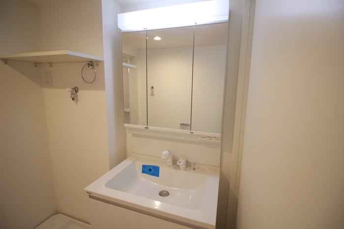 洗面 ハーモニーテラス六番町
