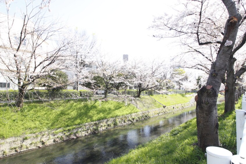 川(公園)まで5m S-RESIDENCE志賀本通North