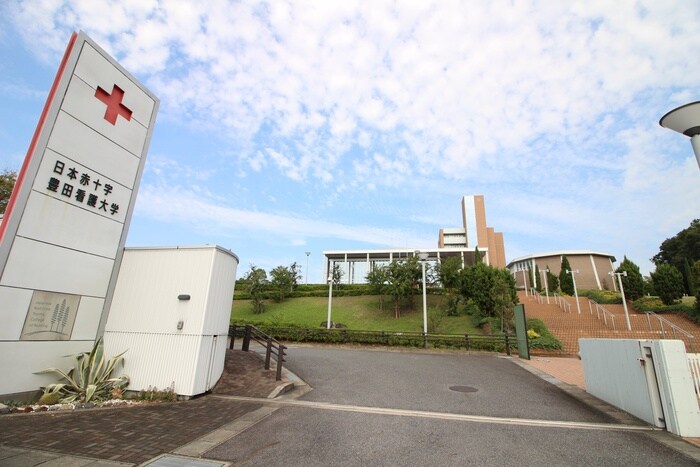 豊田看護大学(大学/短大/専門学校)まで1100m ハイツふきつけ