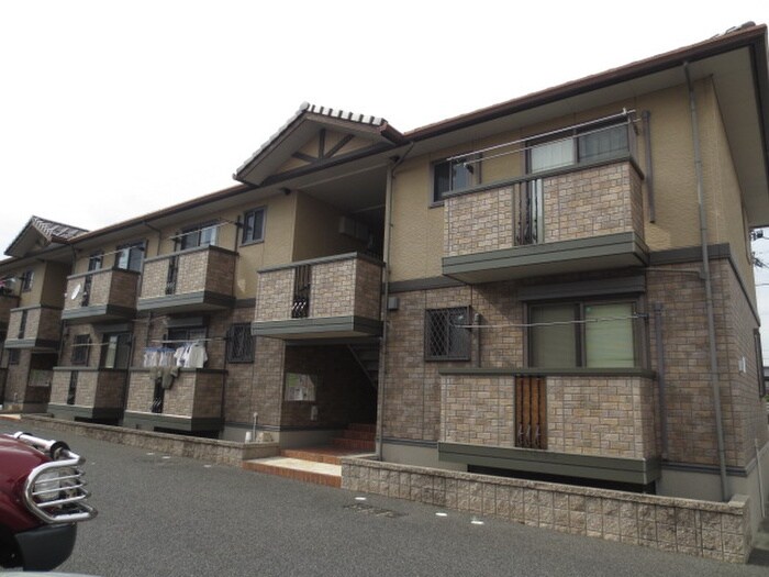 外観写真 コスモス