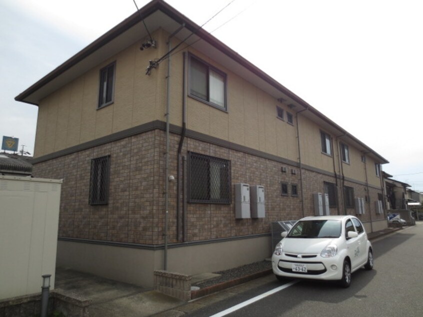 外観写真 コスモス