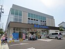 B&D(ドラッグストア)まで550m 天野ビル