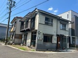 ネコと子犬のワルツ