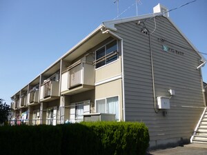 メゾンウォリア
