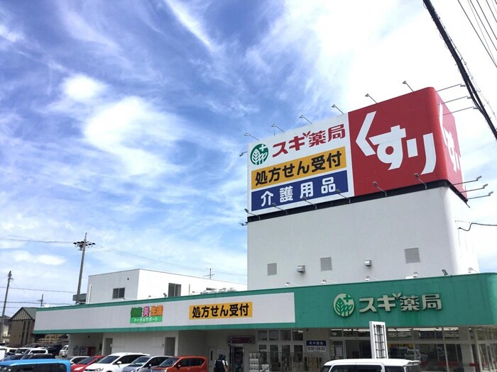 スギ薬局 上地1丁目店(ドラッグストア)まで671m Annex Pair