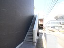 その他 IVY