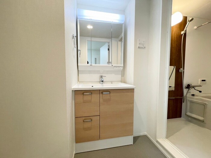 洗面 メゾン星宮