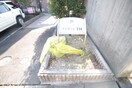 その他 フィオ－レＴＭ