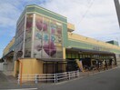 生鮮館やまひこ(スーパー)まで350m 岩倉市昭和町貸家　東棟