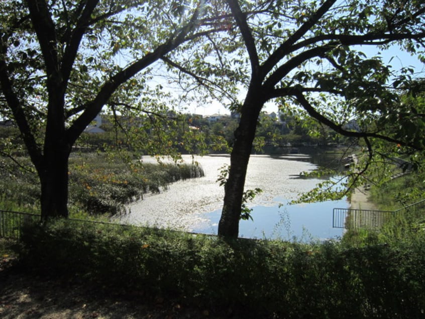 螺貝公園(公園)まで410m グリ－ンロワ－ル