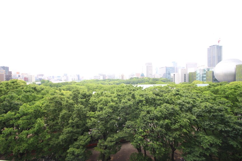 室内からの展望 ルシェット白川公園