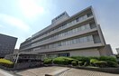 NTT西日本東海病院(病院)まで700m ランドルチェ大須