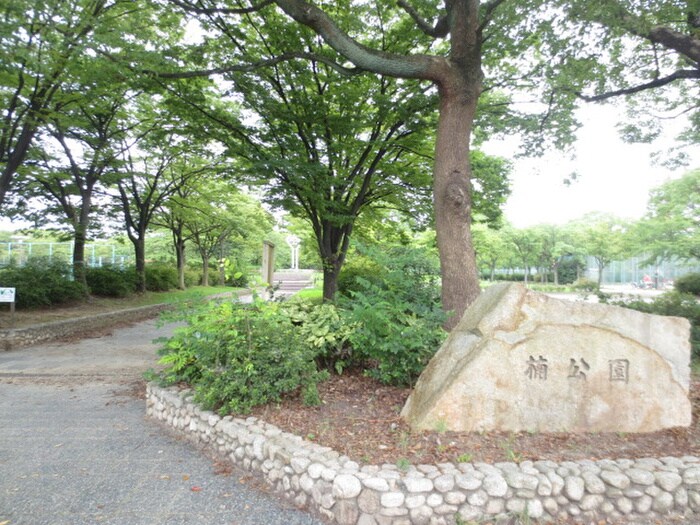 楠公園(公園)まで500m グリーンハイツ丸新