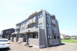 グレースハイツ岩崎