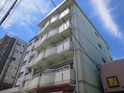完成写真