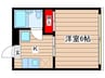 タウニー桜山 1Kの間取り