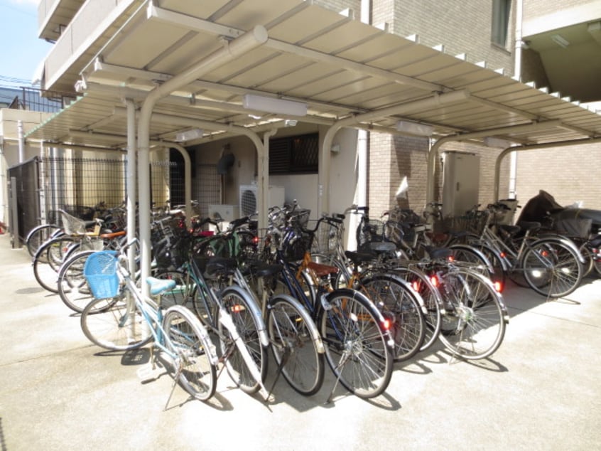 駐輪場 フェニックス並木