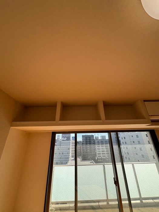 収納 Ｃ．Ｐ．Ｐｕｒｅ１６０８