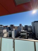 室内からの展望 Ｃ．Ｐ．Ｐｕｒｅ１６０８