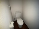 トイレ アンプル－ルリ－ブルセキレイ