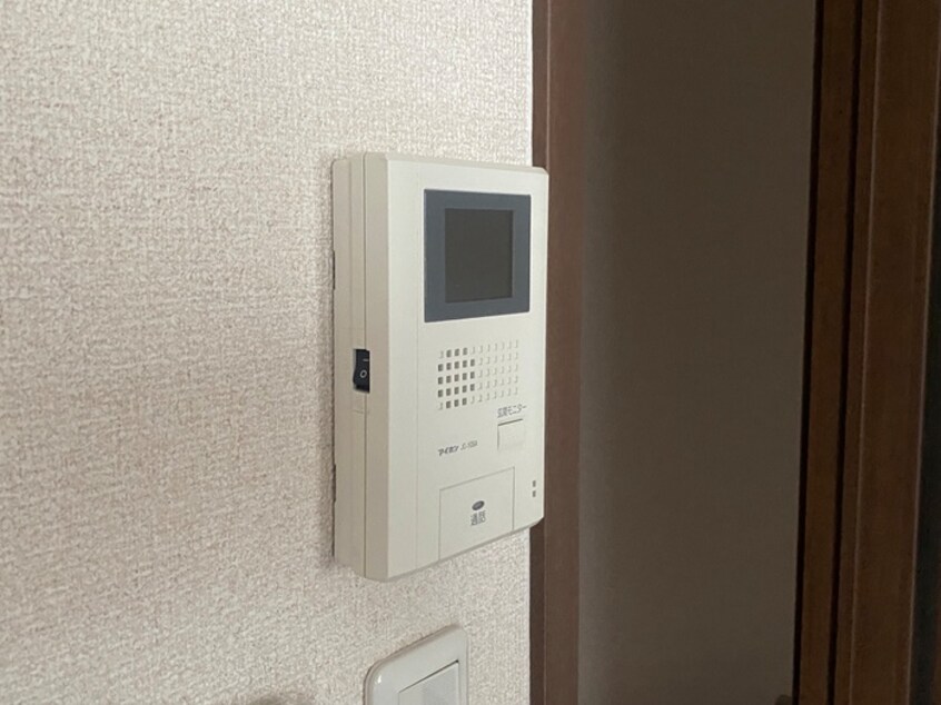 内観写真 アンプル－ルリ－ブルセキレイ