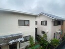 室内からの展望 アンプル－ルリ－ブルセキレイ