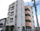 クオーレ稲島