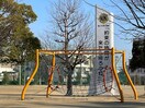 小沢菅原公園(公園)まで400m クオーレ稲島