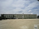岡崎市立男川小学校(小学校)まで550m ハイツ西上野