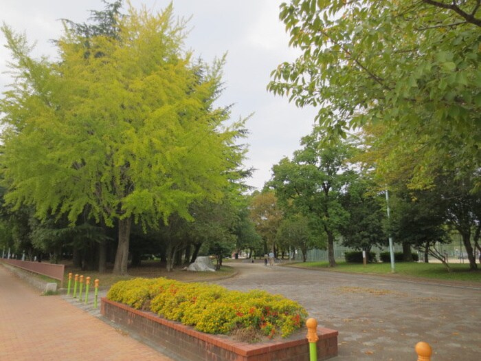 千種公園(公園)まで325m ウィング内山