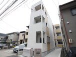 white　peace　野立