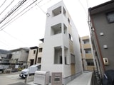 white　peace　野立