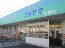 ドラッグスギヤマ 松原店(ドラッグストア)まで458m ラフォルテ大須